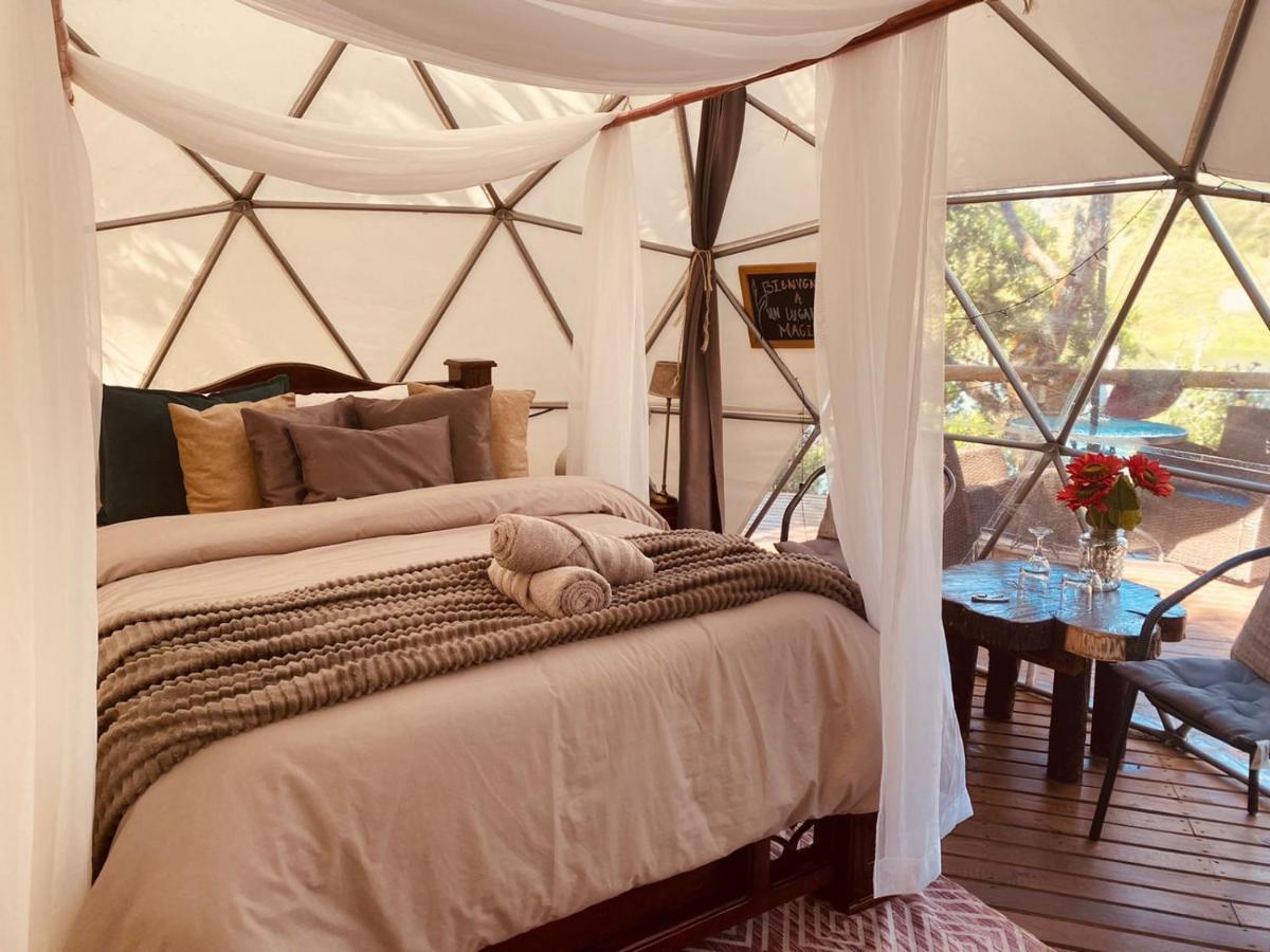 Celeste Glamping Guatape Hotel ภายนอก รูปภาพ