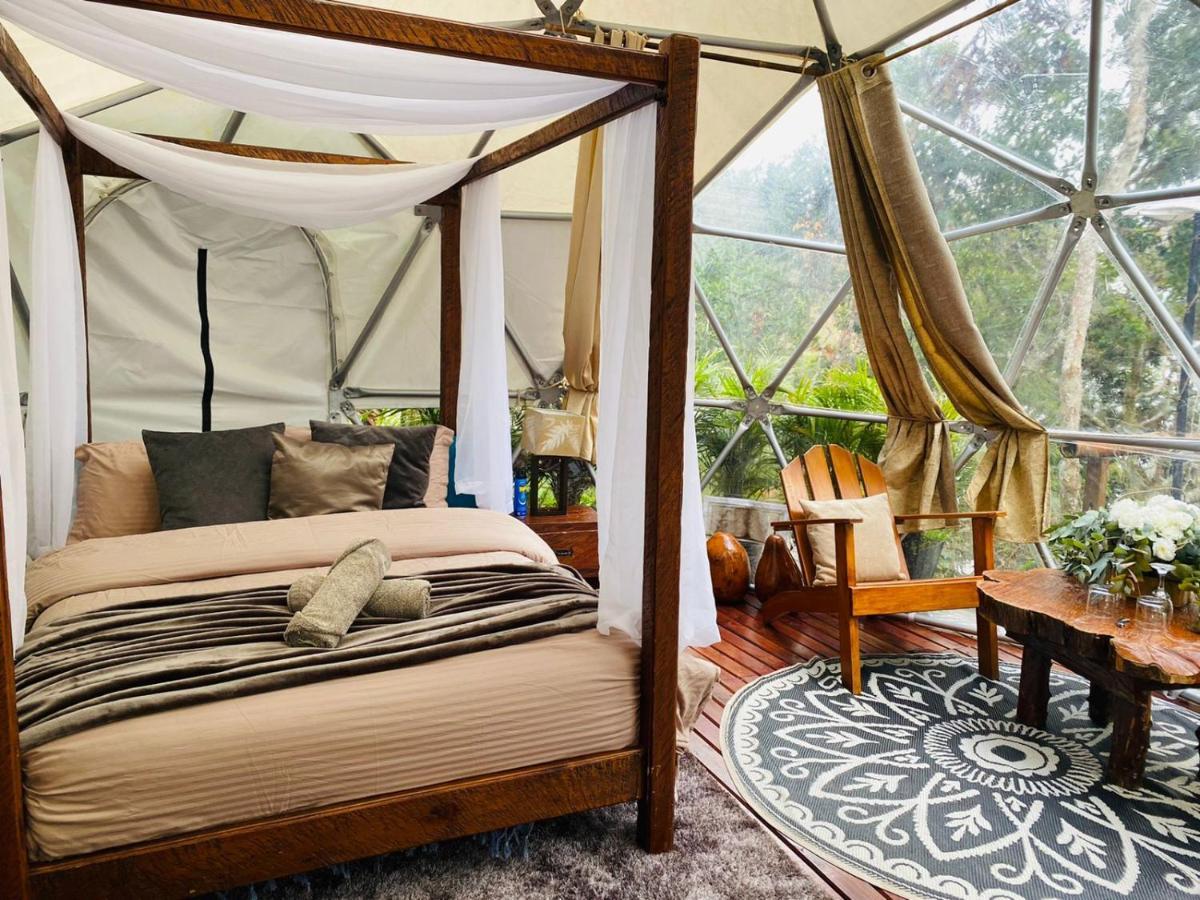 Celeste Glamping Guatape Hotel ภายนอก รูปภาพ